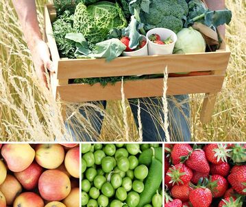 Farmy, zber ovocia a zeleniny - registrácia 2024 Rakúsko