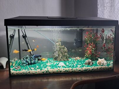 Akvarium