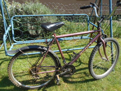 Horský bicykel Scott