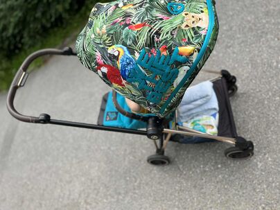 Cybex mios