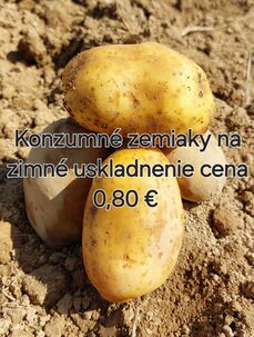 Predám konzumné zemiaky