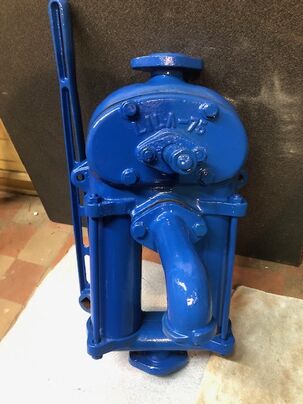 Záhradná pumpa Lila 75