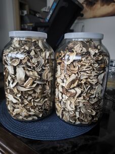 Predám tohtoročné sušené hríby