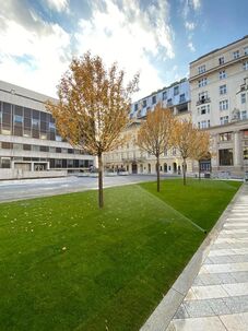 Prenájom 2-izbového bytu – Gorkého ulica, centrum mesta