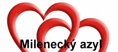 Azyl pro milence České Budějovice