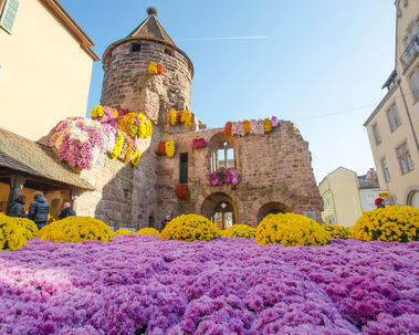 Praca pre opatrovatelov a opatrovatelky