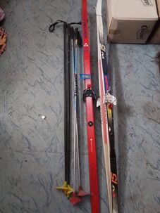 Bežky aj s palicami