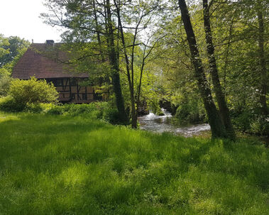 Praca pre opatrovatelov a opatrovatelky