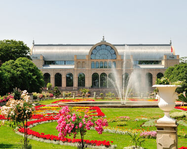 Praca pre opatrovatelov a opatrovatelky