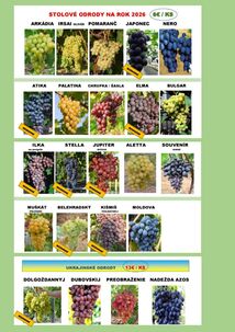 Vinič, viničné štepy