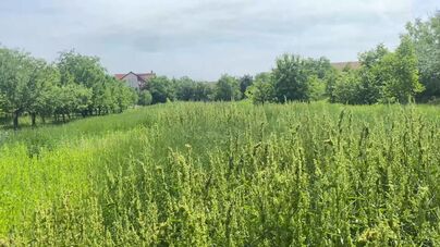 Profesionálne kosenie pozemkov, záhrad a trávnikov