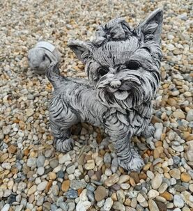 Psík yorkshire stojaci