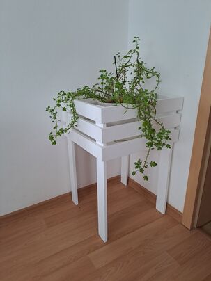 Podstavec pod kvet