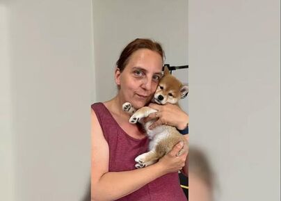 Rozkošné šteniatko shiba inu!