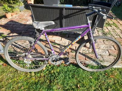 starsi horsky bicykel
