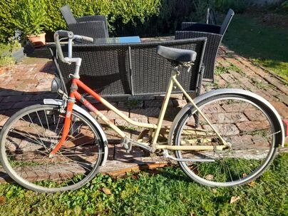 Starsy bicykel lady 26