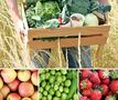 Farmy, zber ovocia a zeleniny - registrácia 2024 Rakúsko
