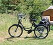Predám trojkolesový elektrický bicykel