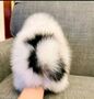 Pomeranian mini