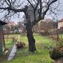 Predám rodinný dom v lukratívnej časti Bratislavy , v Prievo