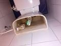 V+H Servis pre vás