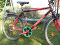 Horský bicykel na fotke 16.8.