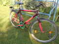 Horský bicykel na fotke 16.8.