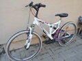 Horský bicykel Everest Electra na fotke /5.9.25/