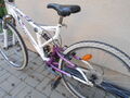 Horský bicykel Everest Electra na fotke /5.9.25/