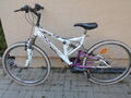 Horský bicykel Everest Electra na fotke /5.9.25/